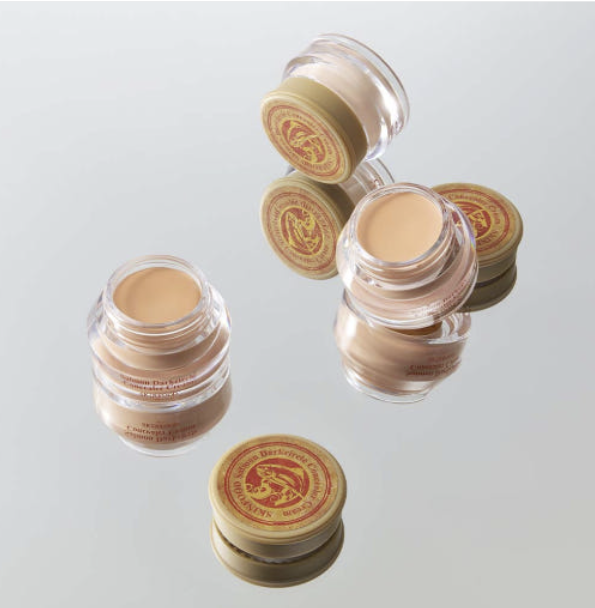 SKINFOOD Salmon Dark Circle Concealer Cream 10g